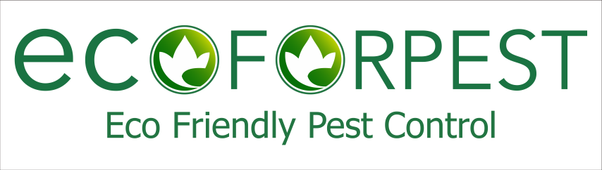 Ecoforpest logo